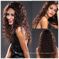 Kinky Curly Afro Human Hair Wigs for Black Women (HL11322)